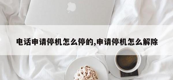 电话申请停机怎么停的,申请停机怎么解除
